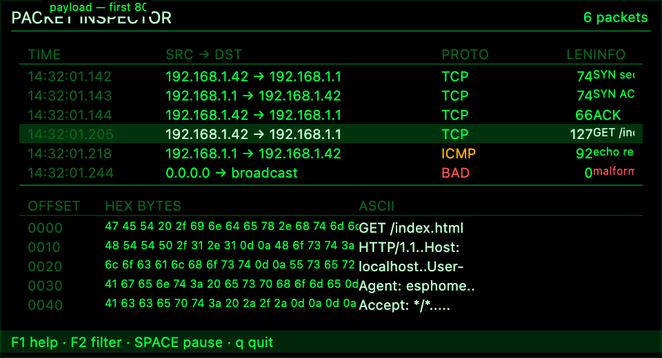 Terminal Packet Inspector