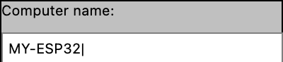 W95 Input Field